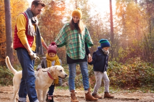 Top wildlife holiday spots for family fun Top wildlife holiday spots for family fun